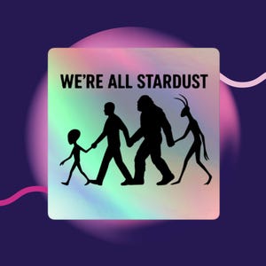 May include: Square sticker with the text "WE'RE ALL STARDUST" above a silhouette of an alien, a person, a Bigfoot, and a creature with horns, all holding hands. The background has a holographic effect with purple, green, and pink hues.
