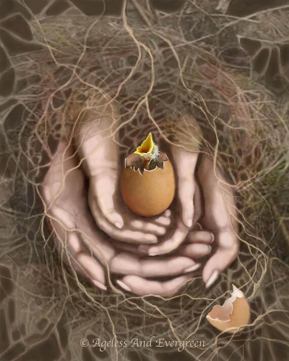 dreamy dolls life etsy