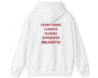 Everything I Love Is Illegal Expensive or Brunette Hoodie, Sarcastic Humor