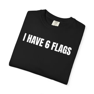 May include: A black t-shirt with a crew neckline and short sleeves. The front of the shirt features the white text "I HAVE 6 FLAGS" printed in a bold, sans-serif font. A white brand label is visible on the inside of the collar area.