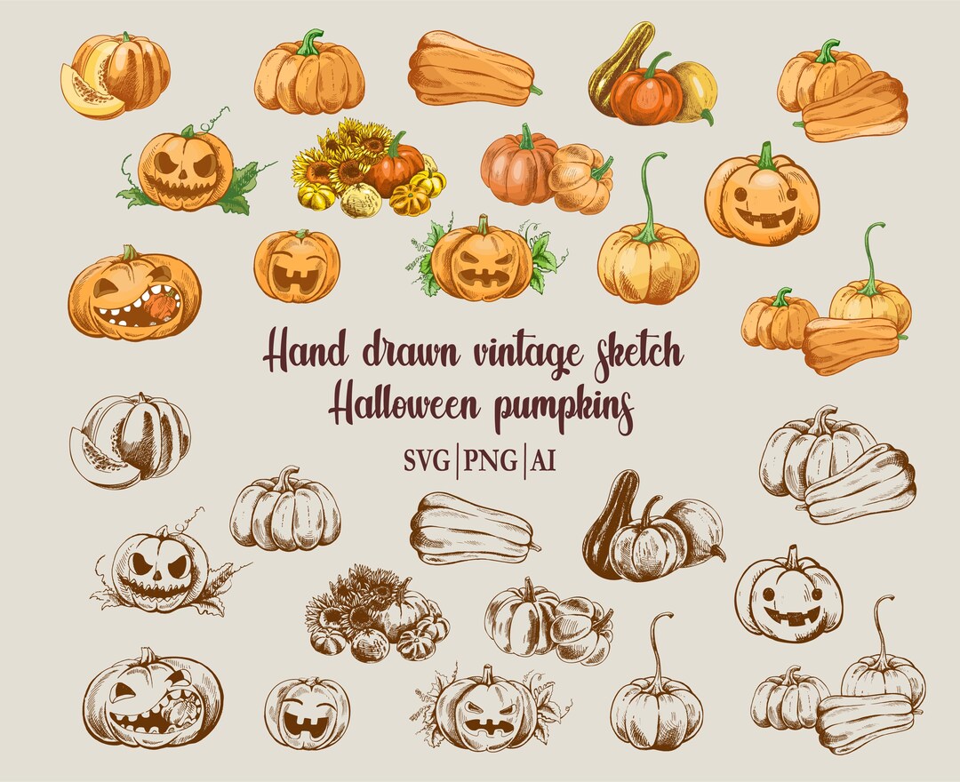 Hand Drawn Vintage Halloween Pumpkin Clipart Set With Colored and ...