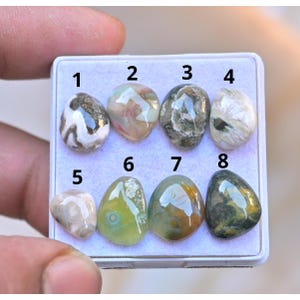 Puede incluir: Ocho piedras preciosas pulidas de varios colores y patrones se muestran en una bandeja blanca. Las piedras incluyen tonos de marrón, verde, blanco y amarillo. Cada piedra tiene una forma y textura únicas, con vetas y veteados visibles.
