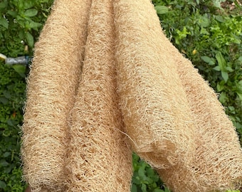 Lot de 3 éponges en luffa naturelles, luffa entier, luffa biologique pour exfolier la douche, laveur de vaisselle, respectueux de l'environnement. 3 PCS