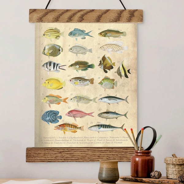 Vintage Style Fish Canvas Print: Scientific Marine Life Poster