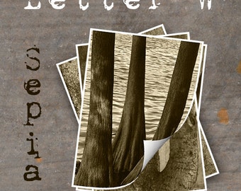 LETTER W Alphabet Photography LETTERS - Sepia Alphabet Photos