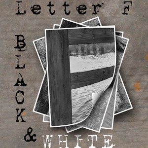 Letter F Photo Art Print: Alphabet Photography, Black and White