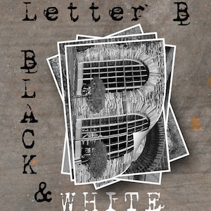 May include: Black and white photo collage of the letter "B" formed by a series of overlapping images of a brick archway with a metal grate. The text "Letter B" and "Black & White" are printed in a typewriter font.