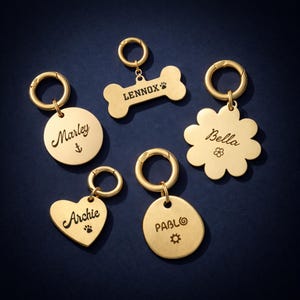 Peut inclure: Plusieurs médailles d'identification dorées pour animaux de compagnie, de formes variées : un cercle, un os, une fleur, un cœur et un ovale. Chaque médaille est gravée du nom d'un animal et d'une petite icône.
