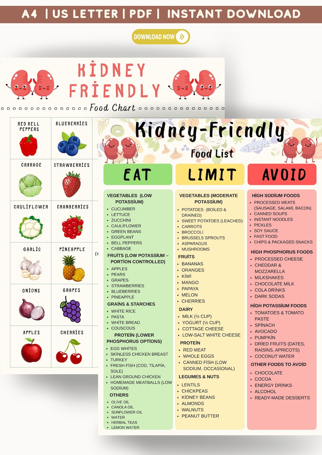Kidney Friendly Food List & Chart Bundle, Renal Diet Printable Pack ...