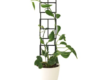 Houseplant Trellis Window-Pane Grid Style, Expandable to make taller (Set of 2) 3D Printed in Black