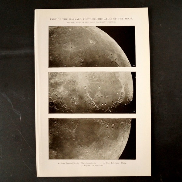 Vintage / Antique Atlas of the Moon Book Plate Engraving in Black and White (c.1900s) N1 - Collectible, Home Decor, Wall Art