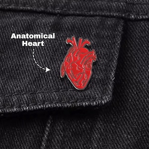 Puede incluir: Un pin de corazón anatómico rojo se muestra en una chaqueta vaquera negra. El pin es una representación detallada de un corazón humano. El texto "Anatomical Heart" está escrito en blanco encima del pin.