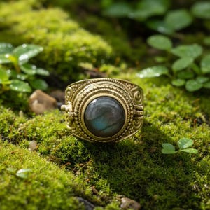 May include: A gold-toned ring featuring an elaborate pattern and a large, circular, dark grey gemstone. The ring is set on a bed of green moss and foliage, creating a natural, earthy aesthetic.