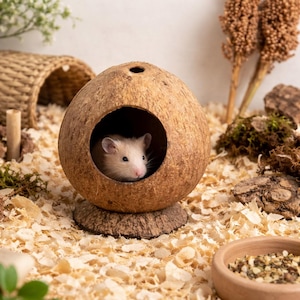 Puede incluir: Un pequeño hámster de color claro asoma desde una casa de cáscara de coco marrón. El hábitat incluye un túnel tejido, virutas de madera y un pequeño cuenco de madera. La casa de coco se asienta sobre una base redonda, con elementos naturales.
