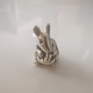 May include: A small, silver-colored rabbit figurine. The bunny is in a seated position with its ears perked up. The figurine has detailed features, including eyes, nose, and paws. The rabbit is a decorative item.