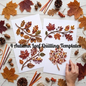 May include: Four white cards featuring intricate paper quilling designs of autumn leaves and acorns in shades of red, orange, yellow, and brown. The text 4 Autumn Leaf Quilling Templates is centered. The cards are surrounded by loose leaves, acorns, and pinecones.