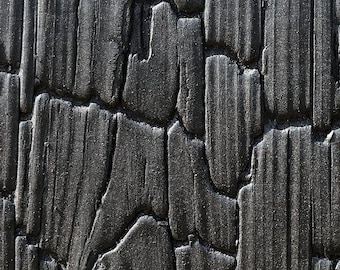 May include: Close-up of a charred wood texture. The surface is a deep black with a rough, cracked pattern. Vertical and irregular shapes create a visually striking, organic design. The texture appears to be from a tree trunk.