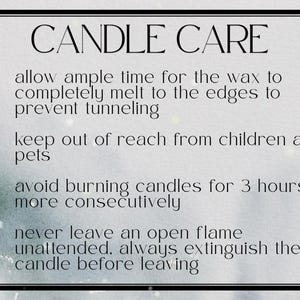 Vela perfumada de espino blanco de serbal / Tarro de cera de soja de 9 oz imagen 5