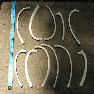 May include: A collection of ten off-white, curved animal rib bones arranged in two rows. A blue measuring tape is positioned vertically on the left side, showing the bones range from approximately 3 to 11 inches in length.