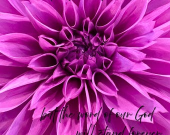 The Grass Withers, but the Word of God Stands Forever – Isaiah 40:8 | Christian Wall Art | 2 Digital Versions | Floral Bible Verse Print