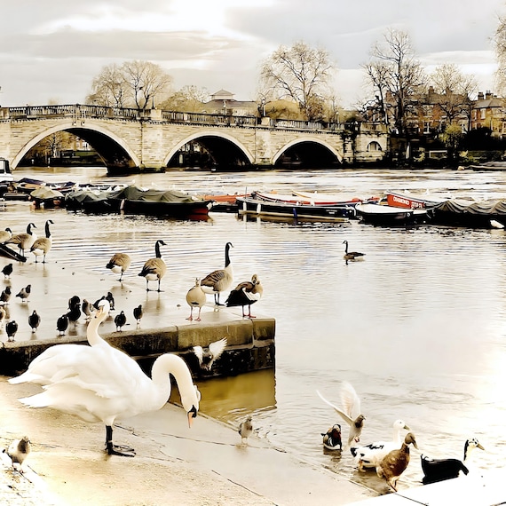 Historic London Richmond Bridge Wall Art - Golden Light River Thames Scene Print, Tranquil River Photography, UK Landscape Travel Decor