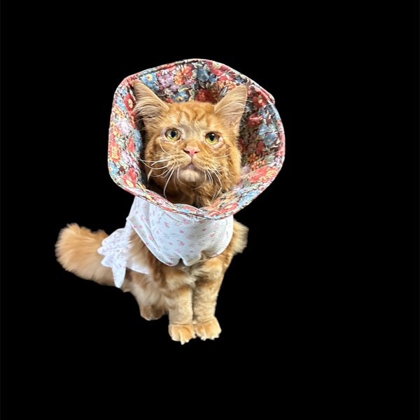 Fashionable Feline Accessory: Handcrafted Cat Cone Collar for the Classy Cats. Size Medium