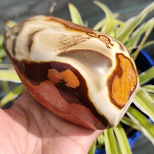 Puede incluir: Una piedra pulida con una forma suave y redondeada. La piedra presenta una mezcla de colores, incluyendo crema, marrón, naranja y rojo, con un patrón veteado. La piedra se sostiene en una mano, con follaje verde en el fondo.