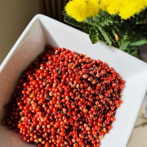 Peut inclure: Un bol carré blanc rempli de grains de poivre rouge vif. Les grains de poivre sont petits et ronds, densément tassés. Des fleurs jaunes et des tiges vertes sont en arrière-plan, ajoutant du contraste.