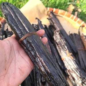Puede incluir: Un manojo de vainas de vainilla de color marrón oscuro y arrugadas, atadas con un hilo fino de fibra natural. Las vainas tienen una superficie brillante y texturizada, con una forma larga, delgada y cilíndrica, mostrando su aspecto natural.