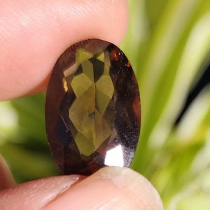 Può includere: Una gemma ovale con taglio sfaccettato. La gemma è di colore marrone scuro con sfumature di verde e giallo. Le sfaccettature creano un gioco di luce, esaltando la sua brillantezza. La gemma è tenuta tra due dita.