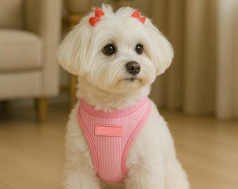 Designer Dog Harness – Comfy Corduroy No-Pull Harness for Small & Large Dogs | Soft Mesh Adjustable Harnesses