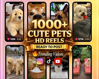 Más de 1000 videos virales de mascotas / Paquete de videos de perros en HD / Editables en Canva / Videos de TikTok para Instagram