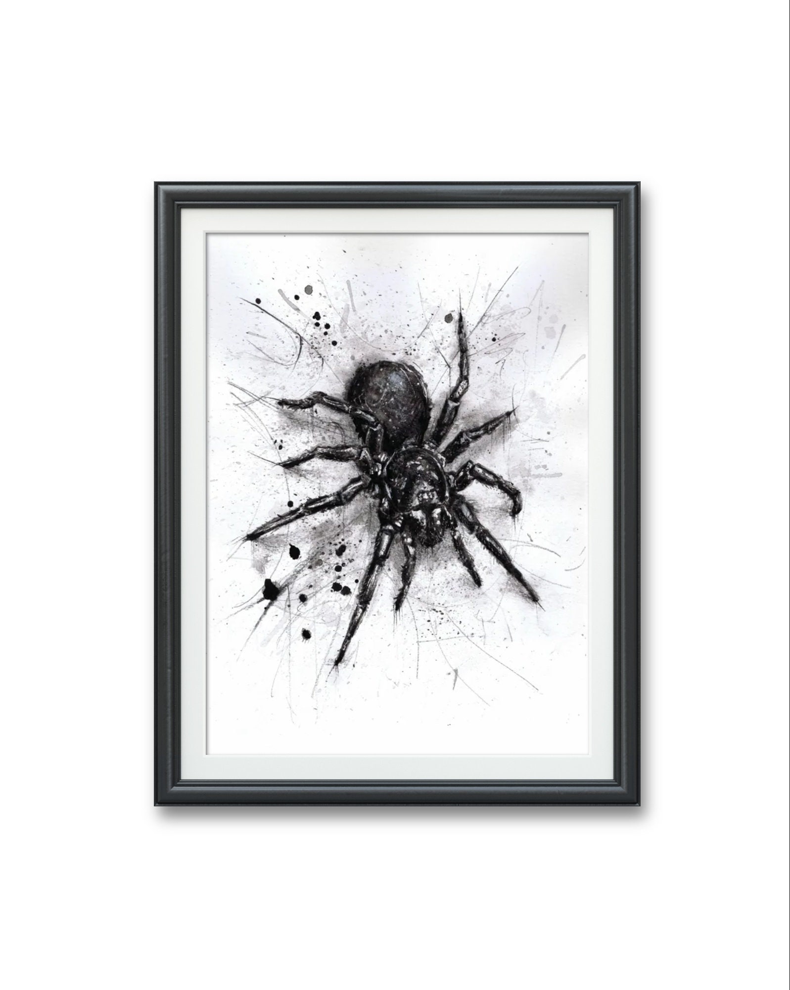 Australian Funnel Web Spider Atracidae Original Art PRINT