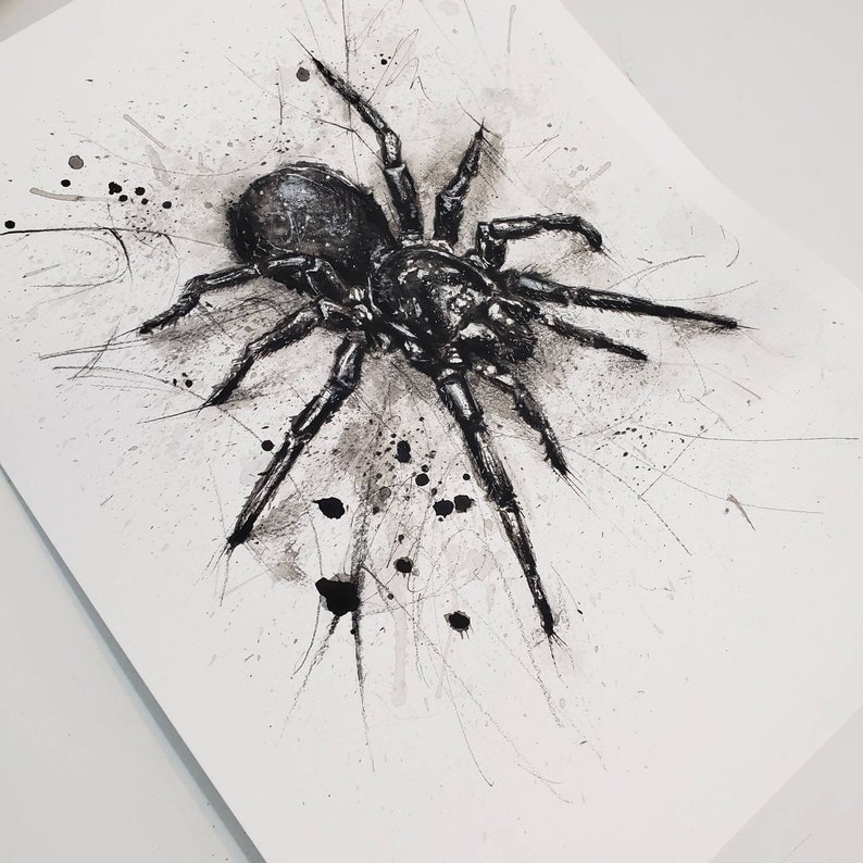 Australian Funnel Web Spider Atracidae Original Art PRINT - Etsy