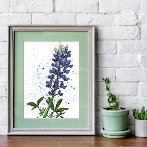 Texas Bluebonnet- DRUK ARTYSTYCZNY, ilustracja akwarelowa, dziki kwiat, kwiat stanowy Teksasu, niebieski bonnet, kwiatowy, naturalny, polny, wiejski szyk