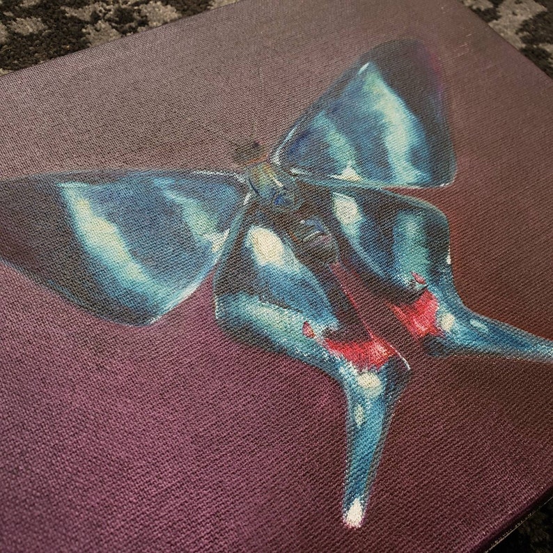 insect bug Mexican kite Butterfly Art PRINT Still Life- Original Oil Painting bathroom hallway art moth