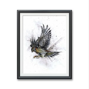 Amerikansk tornfalk - Konsttryck, liten falkhök Original akvarell illustration konstverk, fågel i flykt tittare gåva Falco sparverius air