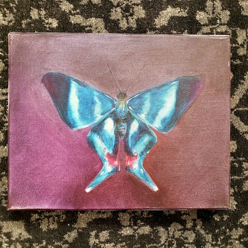 insect bug Mexican kite Butterfly Art PRINT Still Life- Original Oil Painting bathroom hallway art moth
