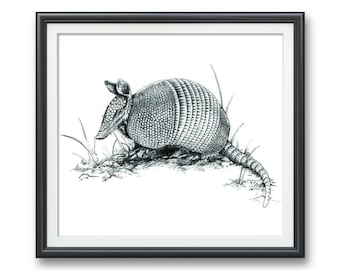 Armadillo- Nine-banded Original Pen and Ink Illustration Art PRINT