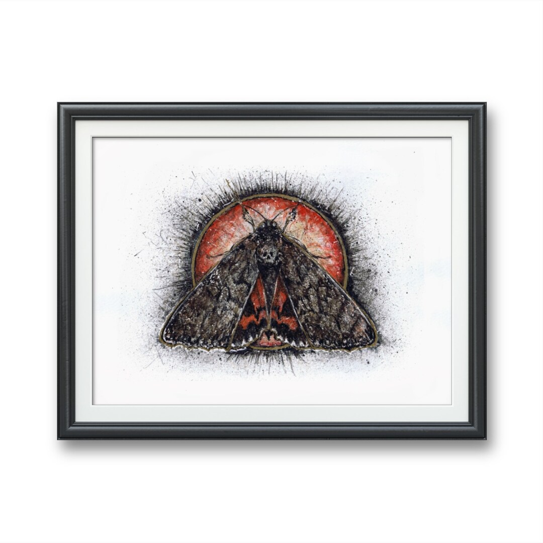 Death Head Skull Moth- Art PRINT Original Watercolor Illustration ...