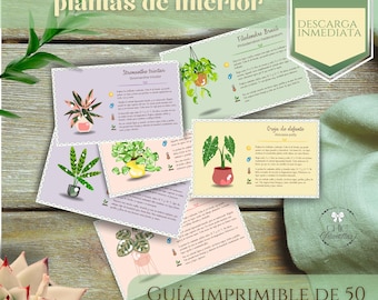 Plant Care Cards Template | Printable Plant  Guide | Editable Canva | Digital Download