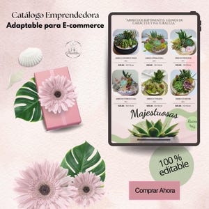 May include: A digital catalog for e-commerce, featuring succulent arrangements. The image includes a pink gift box with a flower, green leaves, and a seashell. The catalog displays various succulent arrangements with prices and dimensions.
