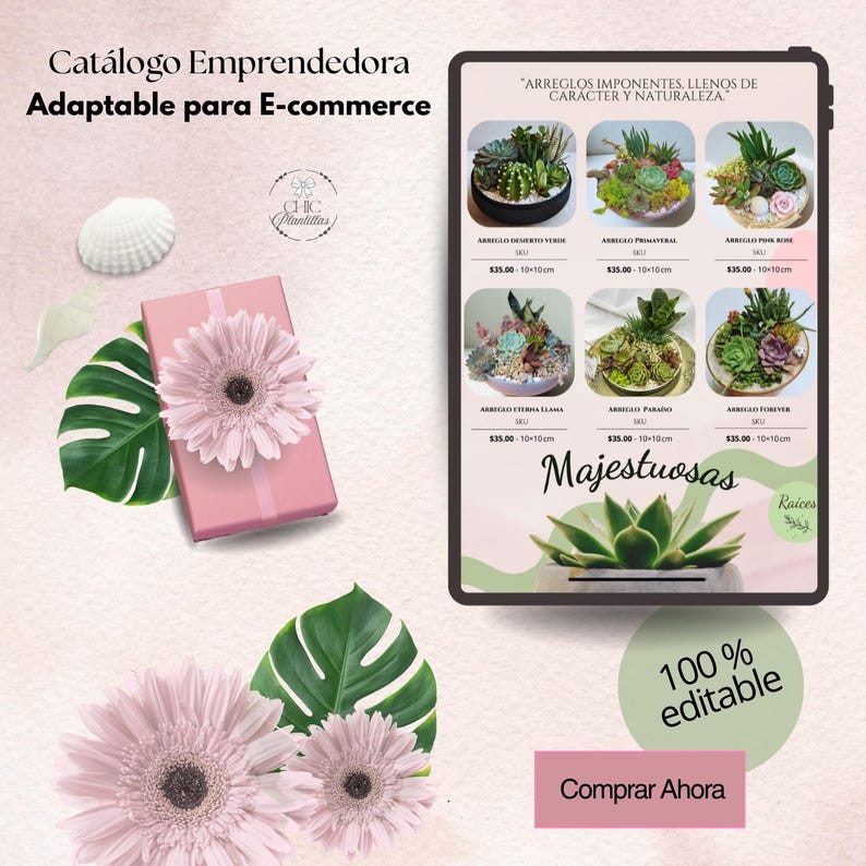 May include: A digital catalog for e-commerce, featuring succulent arrangements. The image includes a pink gift box with a flower, green leaves, and a seashell. The catalog displays various succulent arrangements with prices and dimensions.