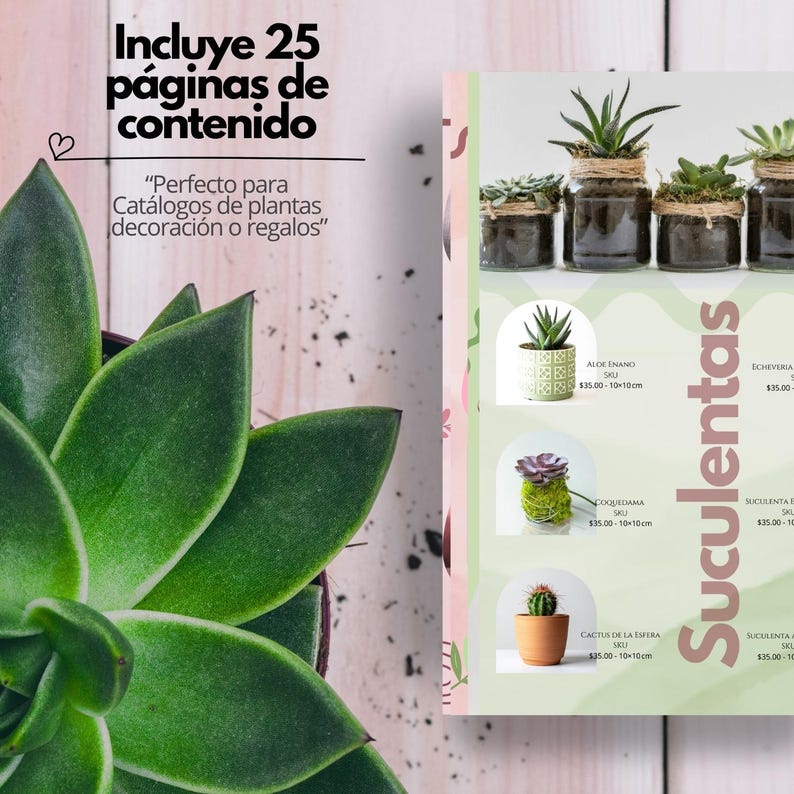 May include: A succulent plant with large green leaves is in the foreground. A catalog page displays various succulents in small pots and jars. Text includes "Incluye 25 p&aacute;ginas de contenido" and "Perfecto para Cat&aacute;logos de plantas decoraci&oacute;n o regalos."