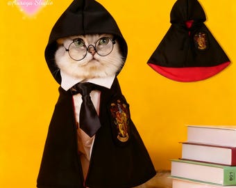 Wizard Academy Pet Halloween Costume | Magic School Cloak, Halloween Cosplay