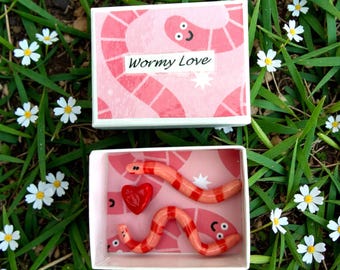 Mini Figurines/Dishes