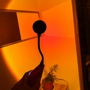 May include: A black, circular light with a flexible neck and red handle is held up in front of an orange-lit wall. A small plant in a terracotta pot sits on a wooden table. The room is illuminated with warm orange light.