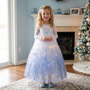 frozen dress long sleeve Disneys Frozen Elsa Princess Dress Velvet Faux Fur Collar Long Sleeve Size S