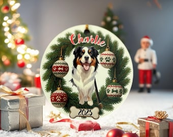 Personalized pet cartoon ornament