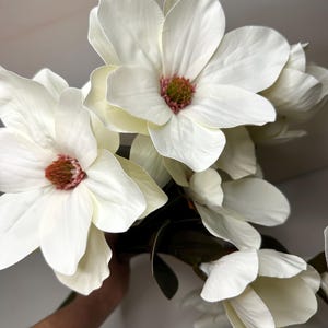 May include: A cluster of large, white magnolia flowers with a touch of pink and green in the center. The petals are soft and layered, with dark green leaves. The flowers are held in a hand, suggesting they are a bouquet or part of a floral arrangement.